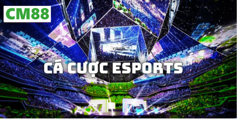 Chiến lược nâng cao cơ hội thắng Esports